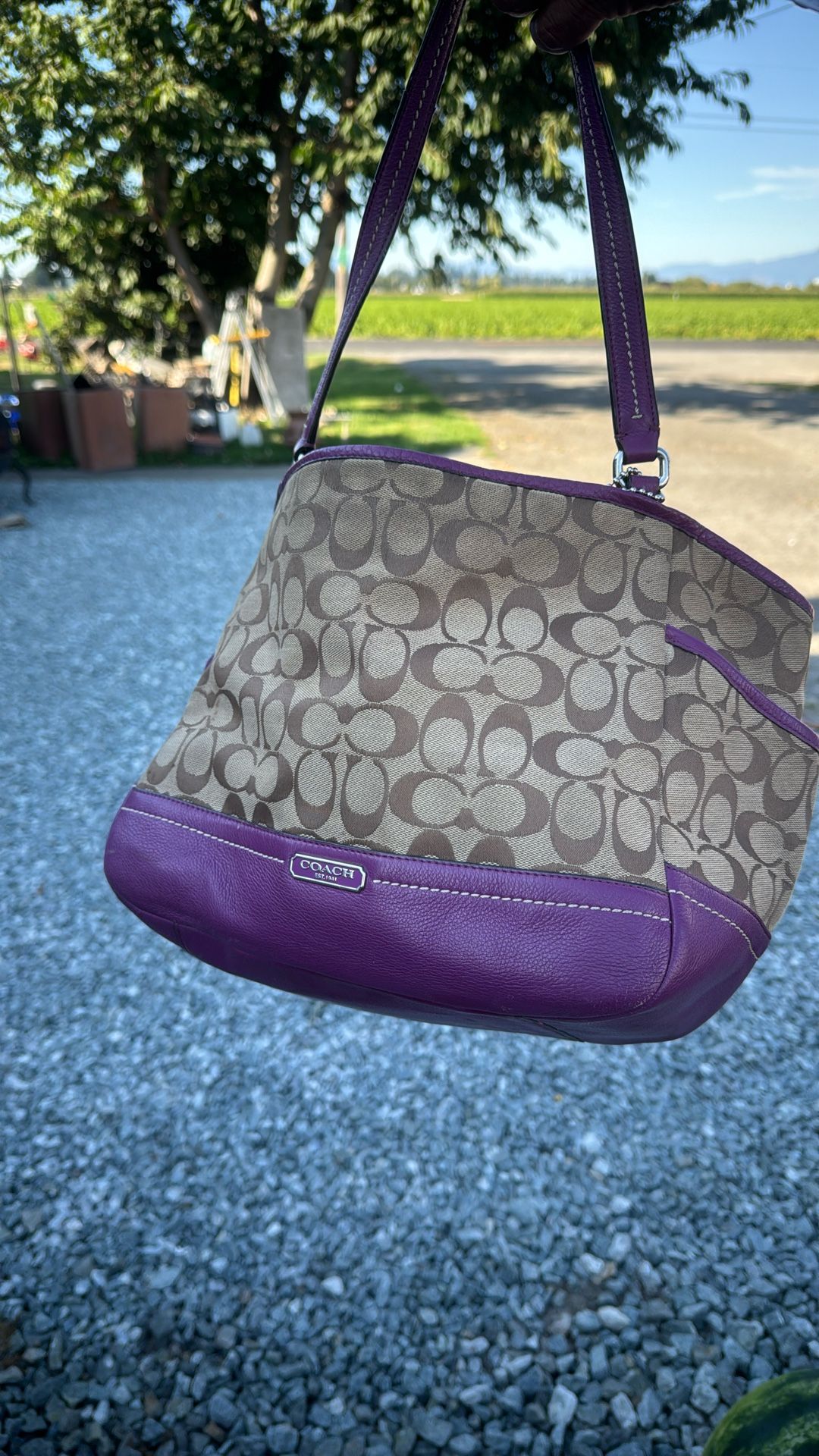 Great Condition Couch Shoulder Bag