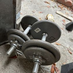 Weights
