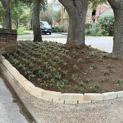 Plants - rocks -mulch 