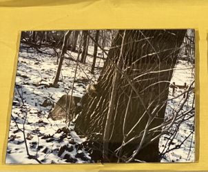 Scenic Riverview Park pictures