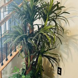 Tall Artificial Plant