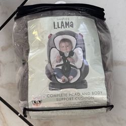 Car seat insert