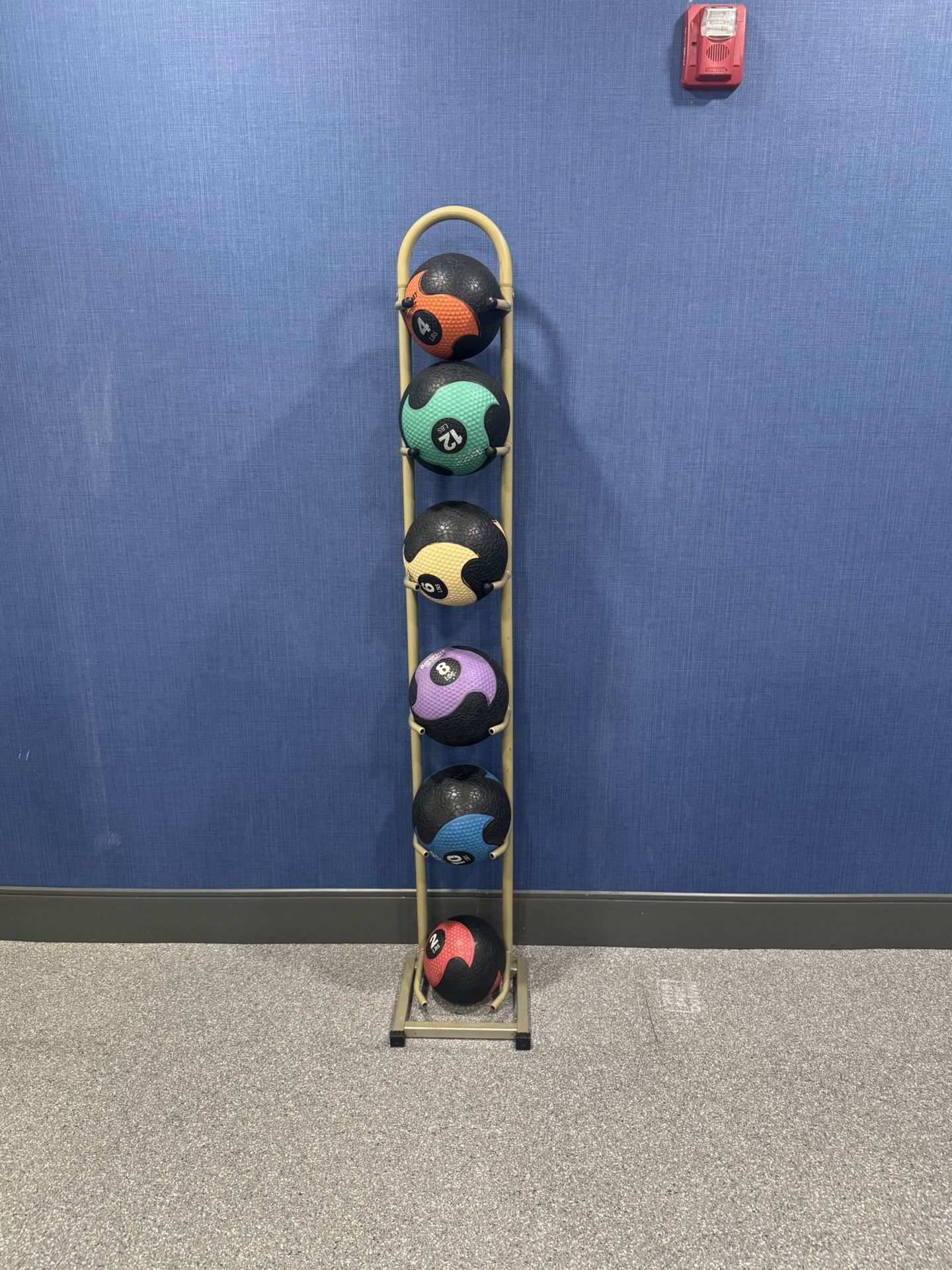 AeroMat Weighted Medicine Balls W/ Rack