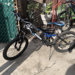 Giant Mtb Kids Bike