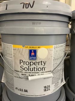 Interior Paint (Hushed Hue)