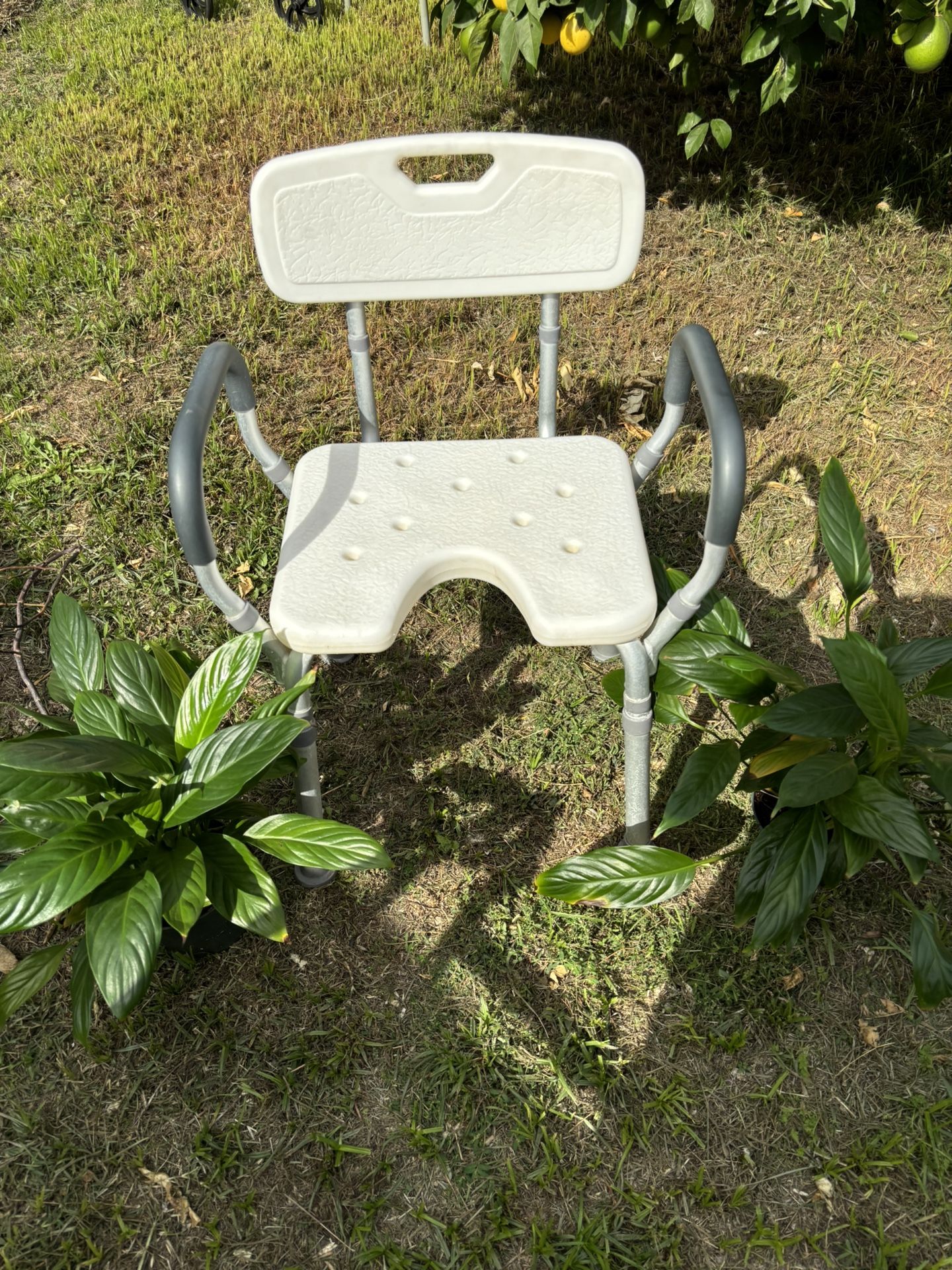 Shower Chair