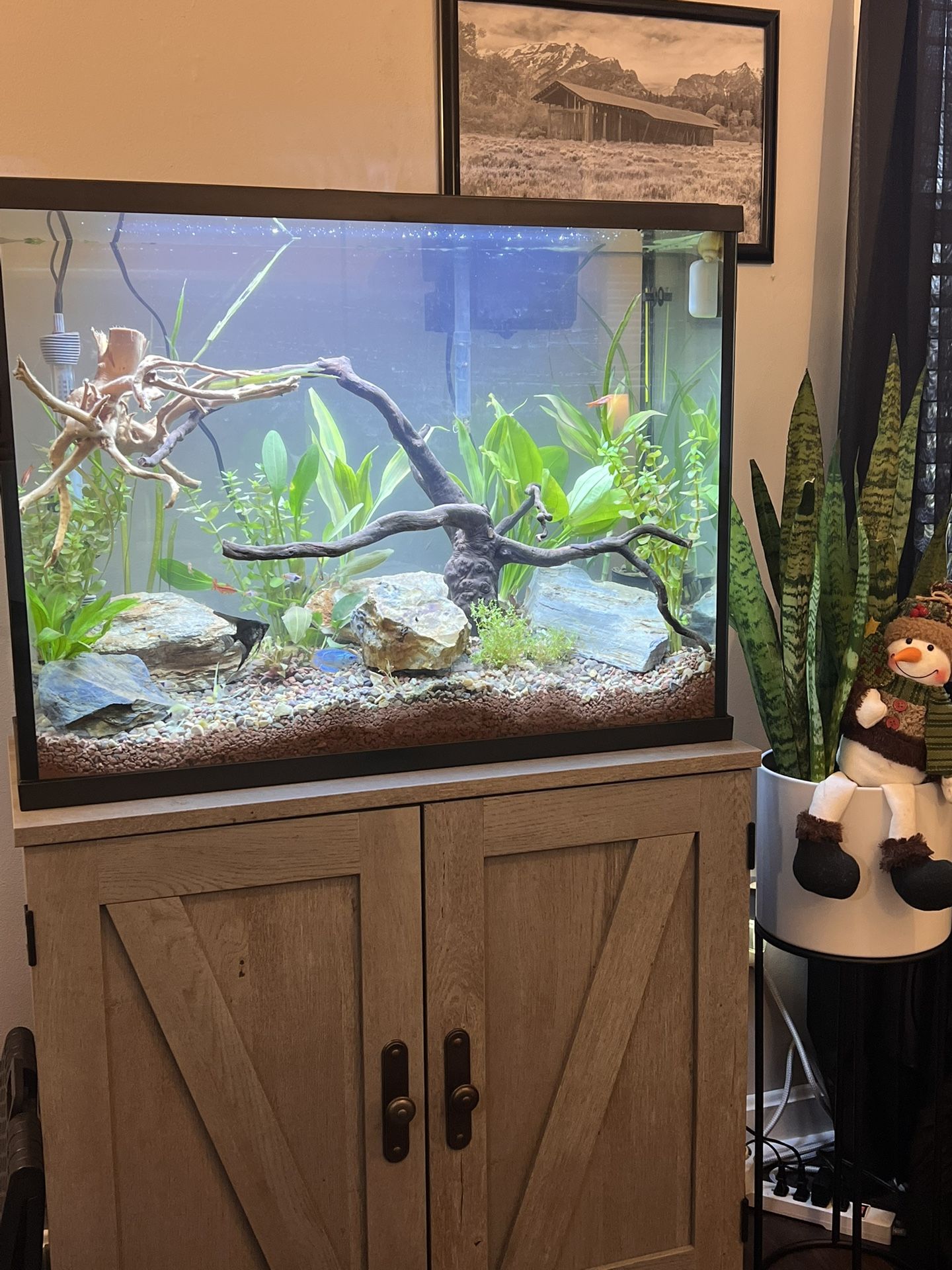 37 Gallon Fish Tank With Modern Stand, Light And Filter