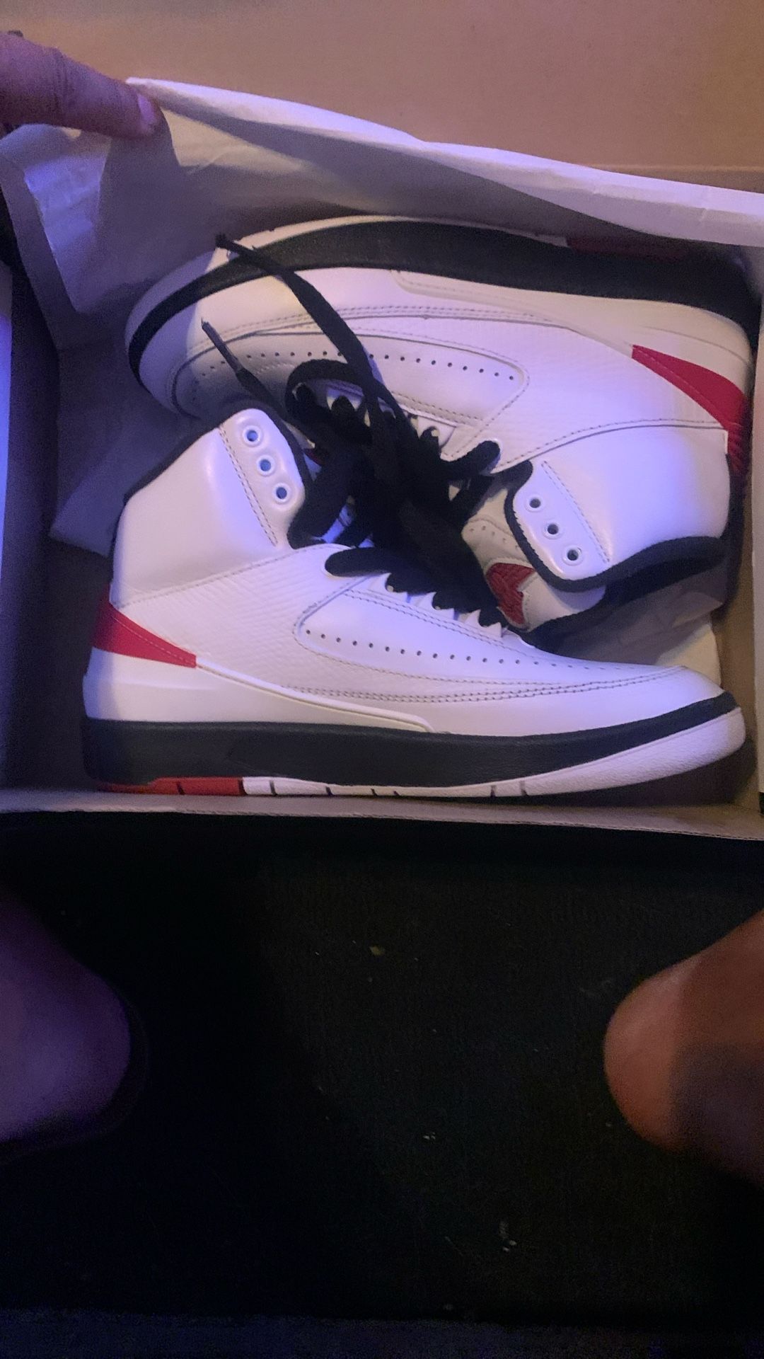 Air Jordan 2 Retro (GS)