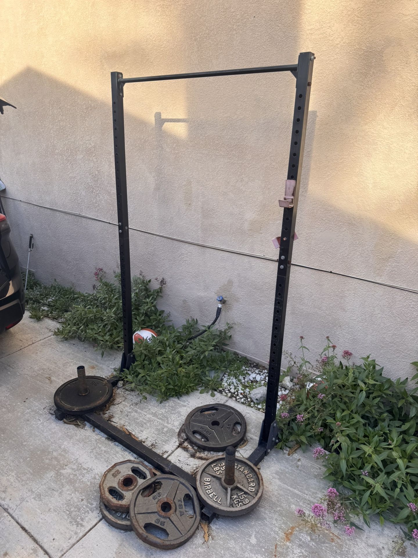 Squat Rack with Weights