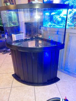 Fish Tank