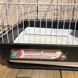 Bird 🦅 Cage 