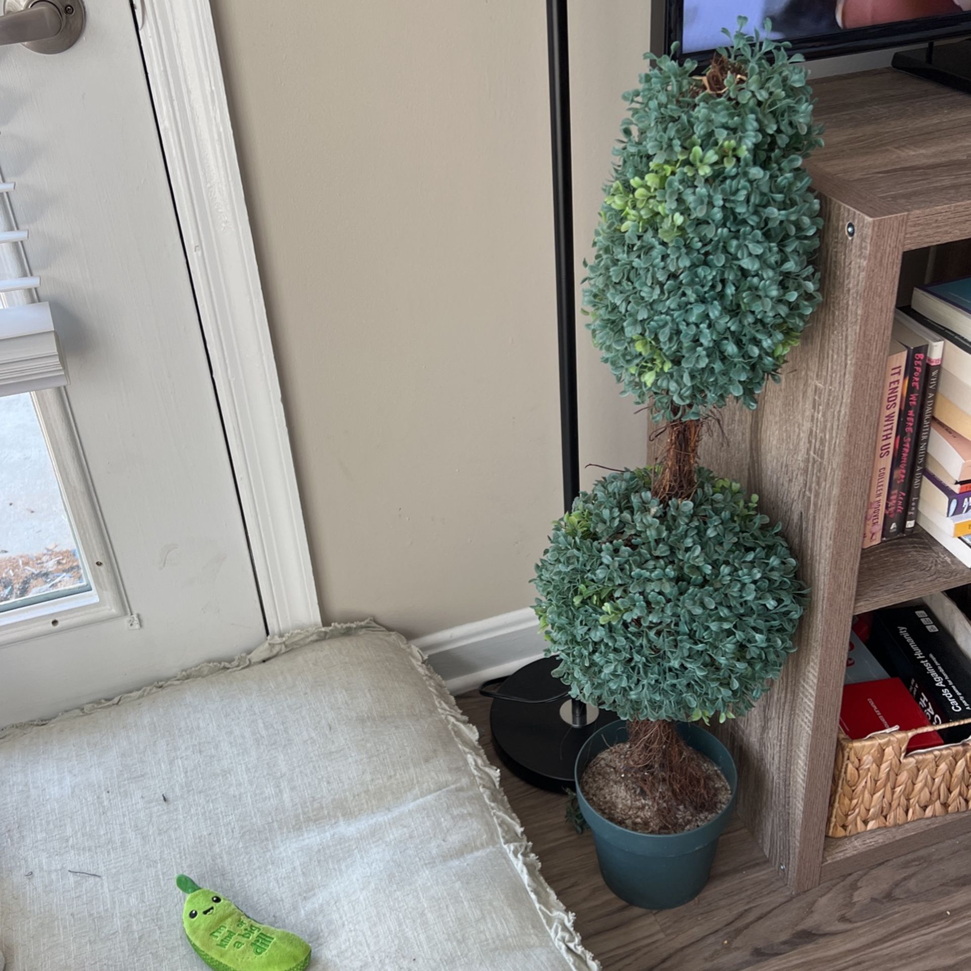 Fake Set Of Plants. Set Of 2