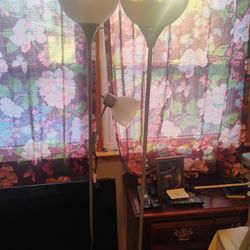 Two Floor Lamps