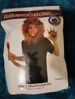 Halloween costume Lion kid.