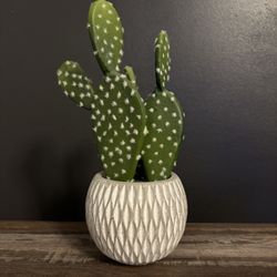 Faux Cactus Plant