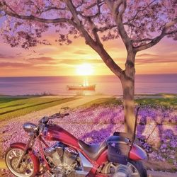 Honda Fury Vt1300CX Chopper Motorcycle 