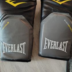 Pro Style Training Gloves 