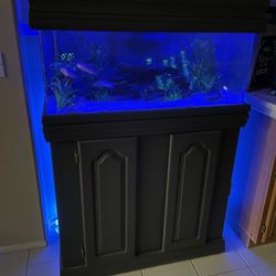 Fish Tank - Sea Clear Acrylic 