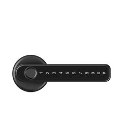 Tuya Electronic Smart Door Lock with Biometric Fingerprint Password APP Key Unlock USB Emergency Charge Keyless Entry Knobs $60