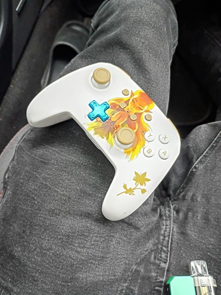 Controller For A Nintendo Switch