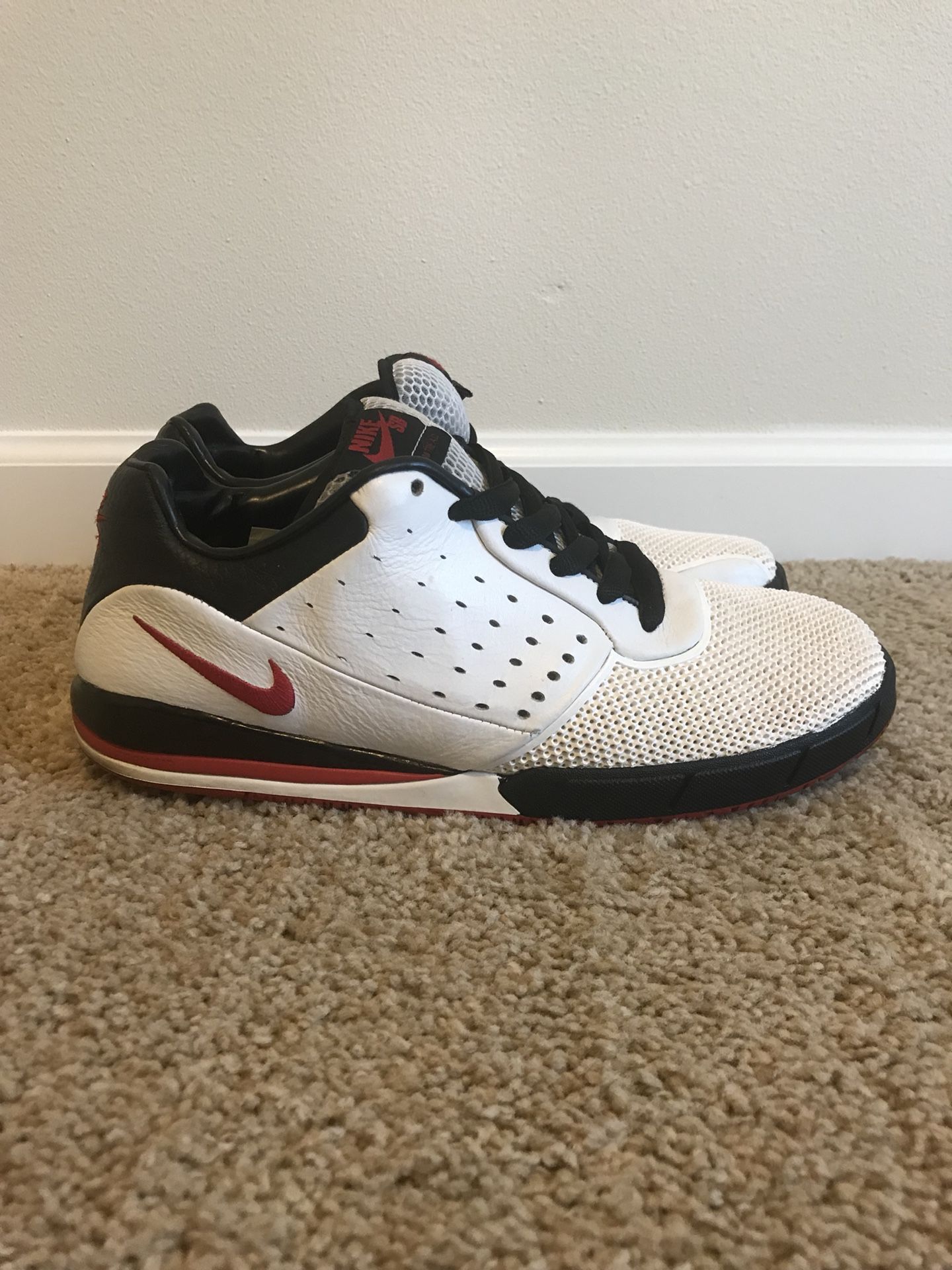 Nike SB Zoom Tre A.D