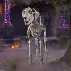 Home Accents Holiday 7 FT Skelly’s Dog