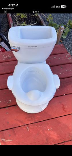 Potty training toilet