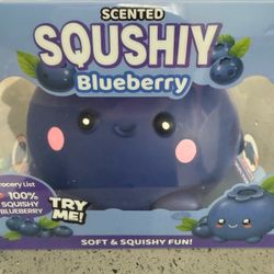 Big Scented Squshiy Blueberry Squishy Toy