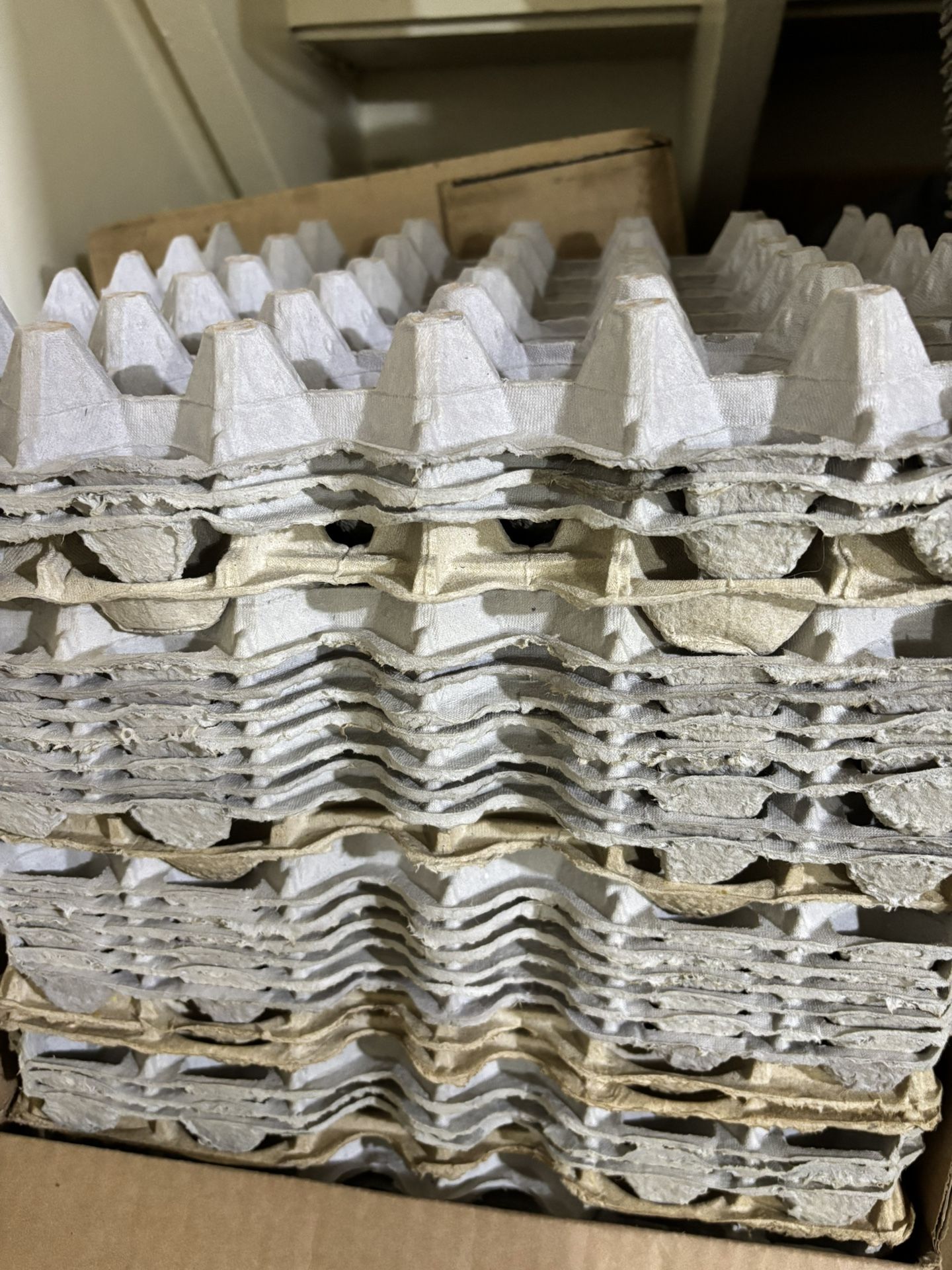 Egg Crates