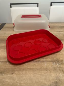 Cake and Cupcake Carrier