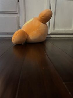 Pokèmon teddiursa