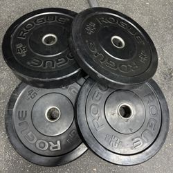 Rogue Bumper Weights 