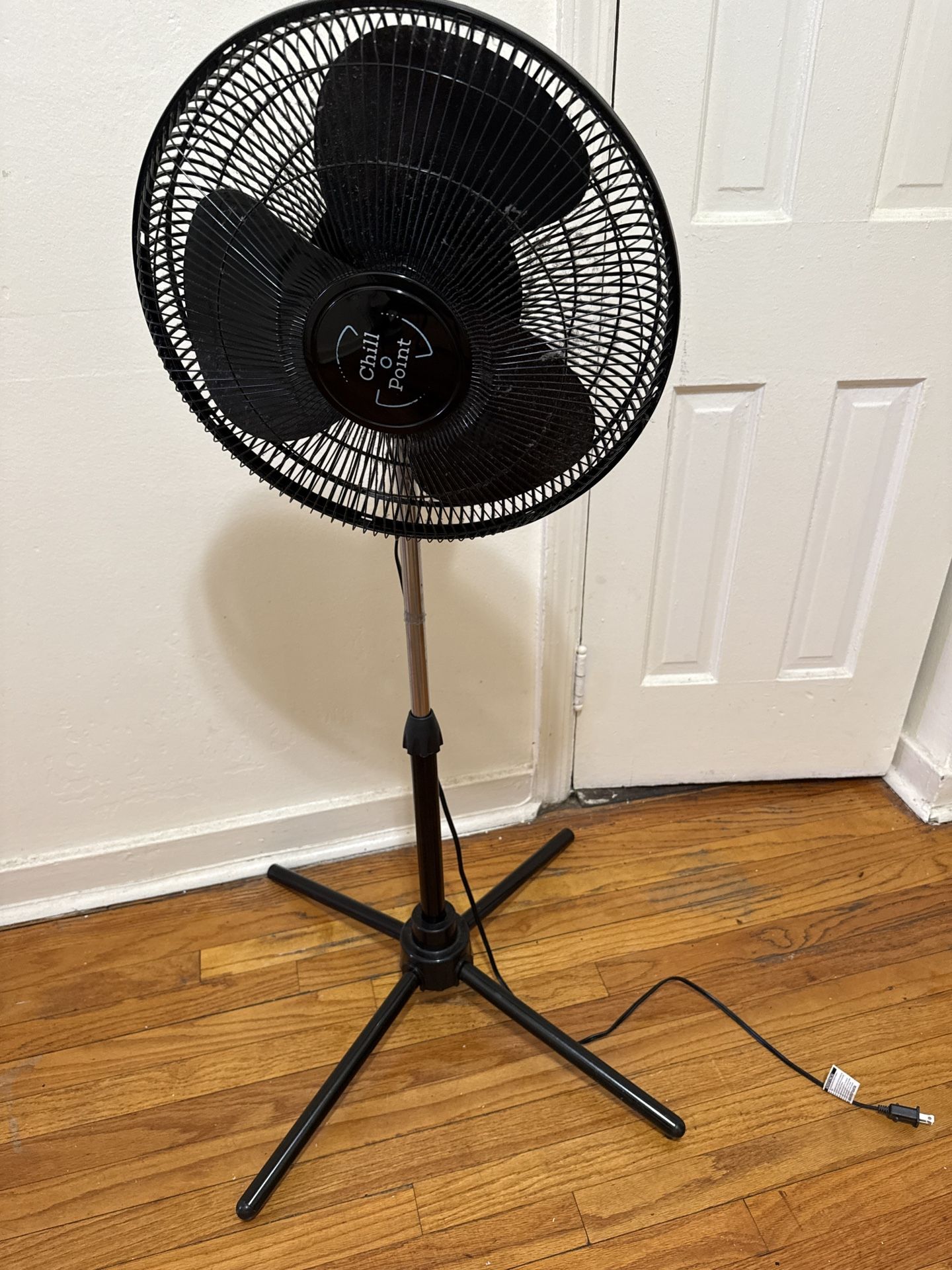 Fan