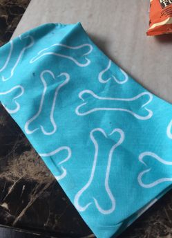 Small dog bandanna