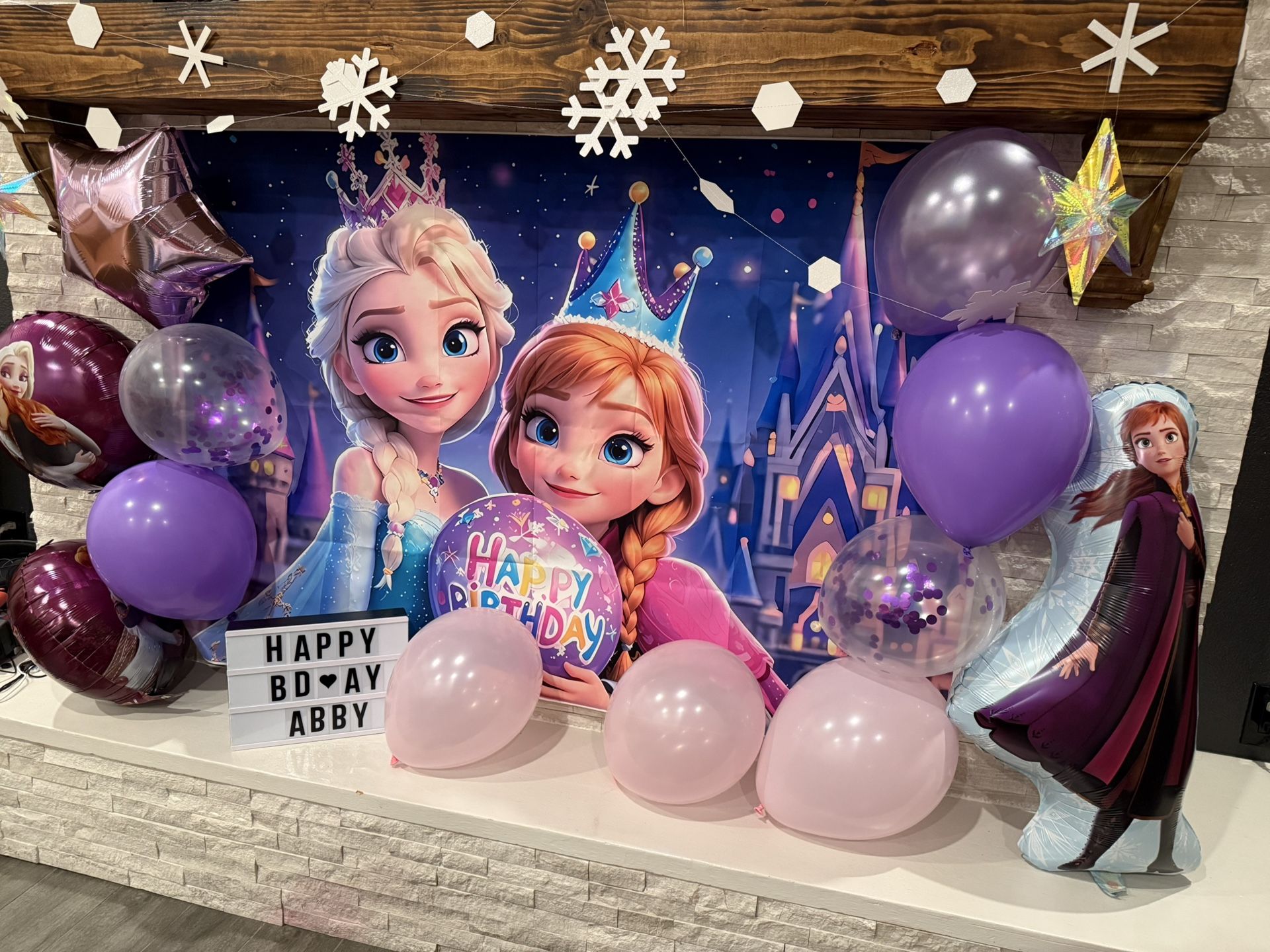 Frozen Party Backdrop