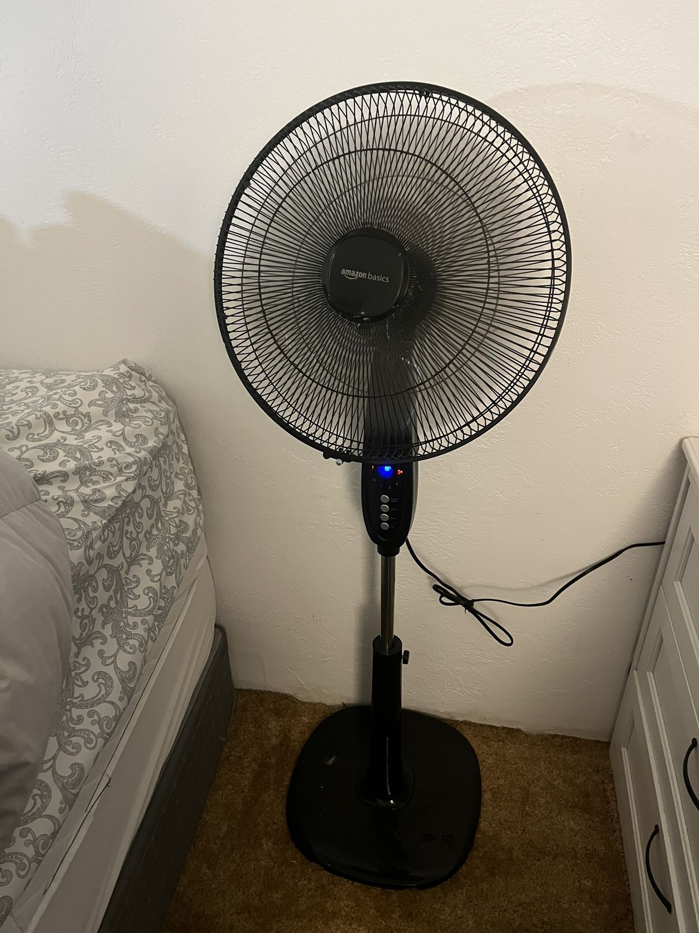 Oscillating Fan
