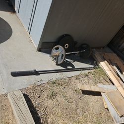 Olympic Bar Set Curl And Bench "Bars"
