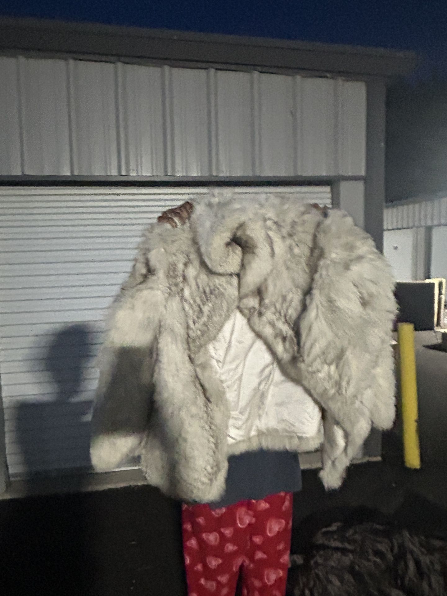 Fur Coat  $300 Or Best Offer 