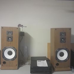 Pioneer Stereo With 2 Speakers 