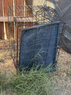 dog crate