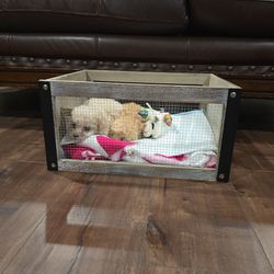 Dog CRATE for MALTIPOO