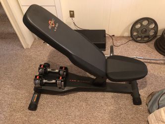 Epic lx 20 workout bench hotsell
