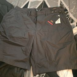 Vans Grey Shorts New