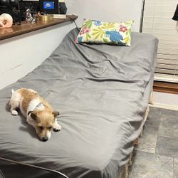 Electric Hospital Bed