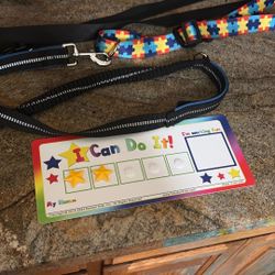 Waste To Waste Leash