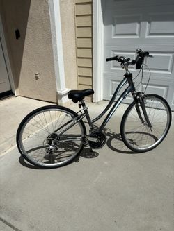 Giant Bike