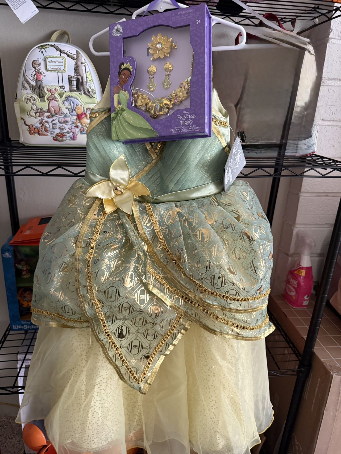 Disney Tiana Dress And Accessories