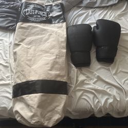 punching bag and gloves