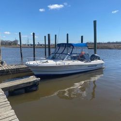 Eisenglass Enclosure Wellcraft V21 Steplift 