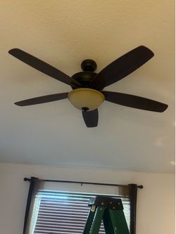 Lights & fans